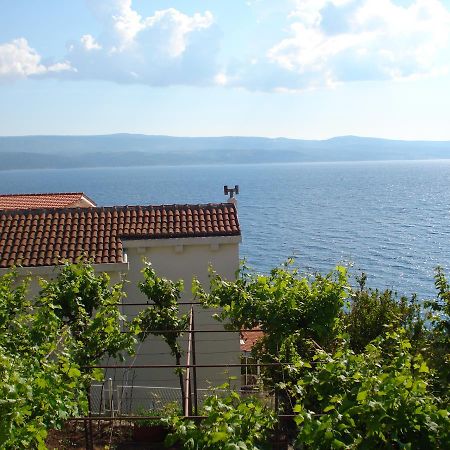 Apartmani Stanic Rosa Stanici Экстерьер фото